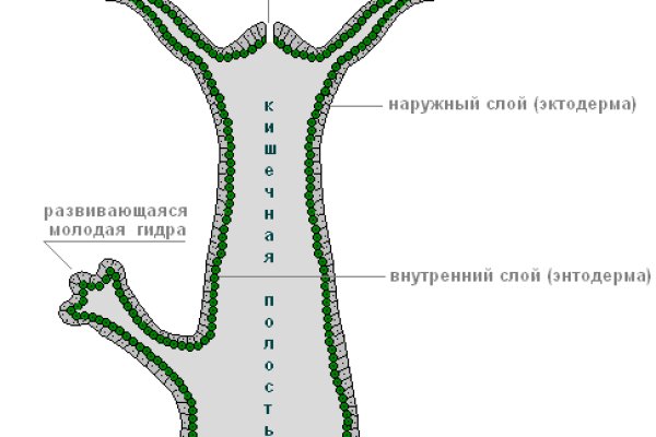 Ссылки даркнета