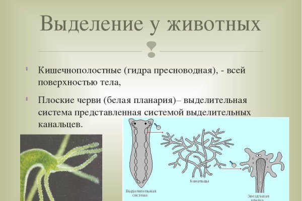 Кракен наркошоп ссылка