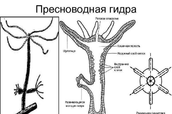 Кракен черный сайт