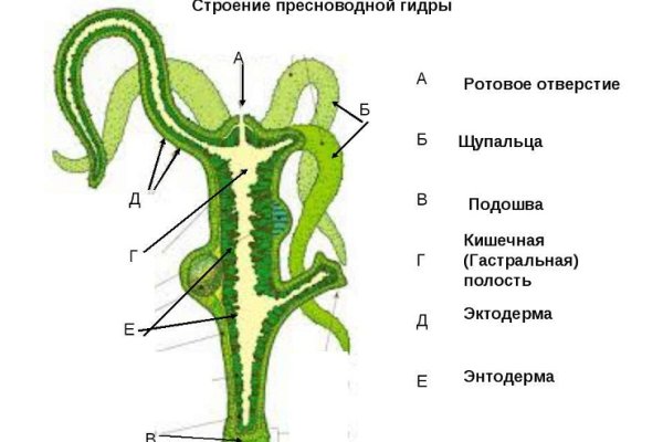 Кракен активная ссылка
