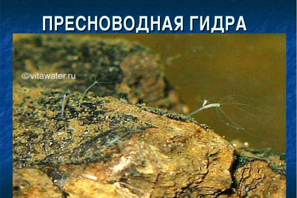 Кракен новое зеркало